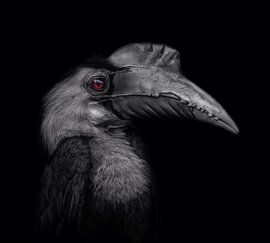 De rechter von Ron Meijer Photo-Art