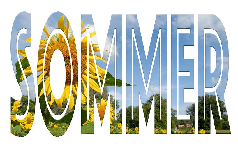 Sommer van Richard Wareham
