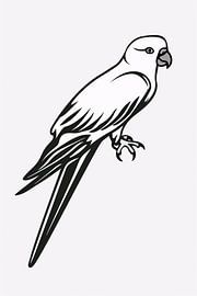 Minimalist line drawing of a parrot on branch by Art & Soul Creations