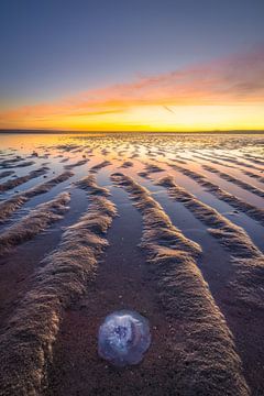 Zonsondergang op de maasvlakte bij Rotterdam op het strand met mooie kleuren van Bas Meelker