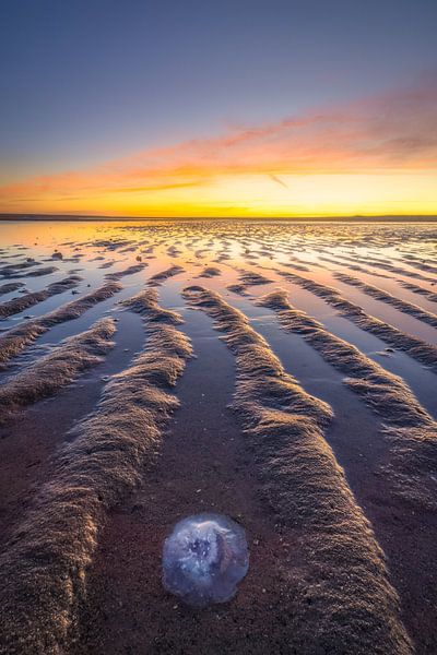 Sunset on the Maasvlakte near Rotterdam on the beach with beautiful colours by Bas Meelker