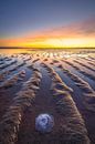 Sunset on the Maasvlakte near Rotterdam on the beach with beautiful colours by Bas Meelker thumbnail