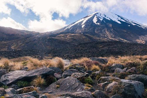 Mount Doom in Tongariro Nationaal Park, Nieuw-Zeeland