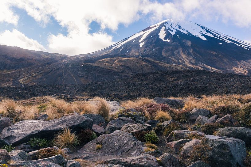 Mount Doom in Tongariro Nationaal Park, Nieuw-Zeeland van Linda Schouw