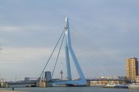 Icônes de Rotterdam