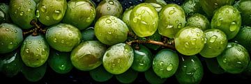 Panorama with Green Grapes by Studio XII