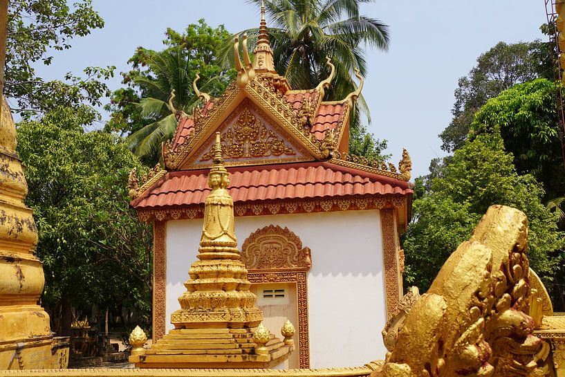 Cambodia by Michel van Vliet
