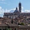 Sienna en haar kathedraal, Toscane, Italië van Discover Dutch Nature
