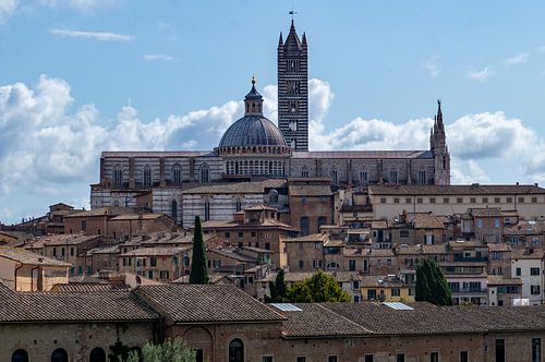 Sienna en haar kathedraal, Toscane, Italië