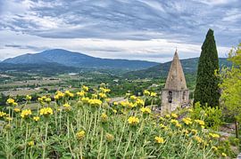 Crestet in der Provence
