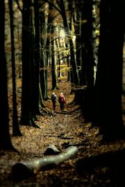 Herfst wandeling van Nanouk el Gamal - Wijchers (Photonook)