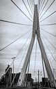 Erasmusbrug Rotterdam in zwart-wit van Marjolein van Middelkoop thumbnail