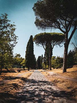 De Via Appia in Rome van Skyler Muller