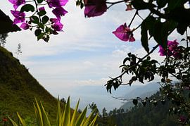 Uitzicht in de bergen van Laura