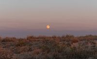 Full Moon France