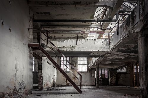 The abandoned tannery