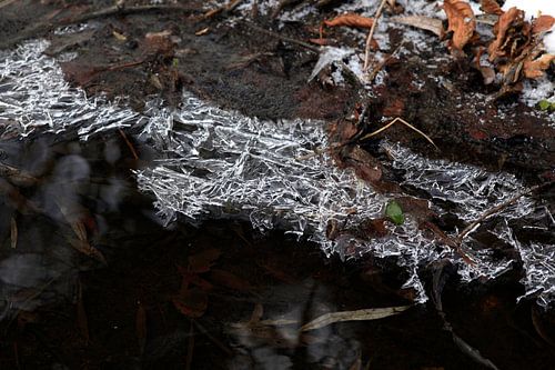 Stream bank in winter