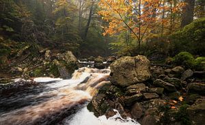Adembenemende Waterval in de Belgische Ardennen: Herfstlandschap