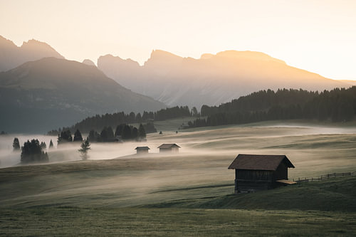 Alpe di Siusi (Seiser Alm) in the Dolomites in the morning