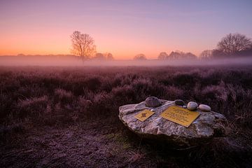 Ermelose Heide sur Eddy Westdijk