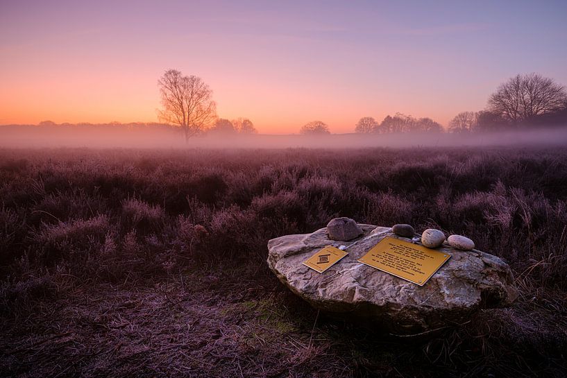 Ermelose Heide by Eddy Westdijk