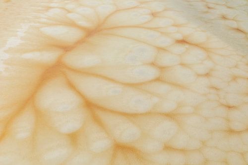 Bolvormige structuren in ijs