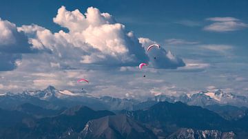 Paraglider van Thomas Heitz