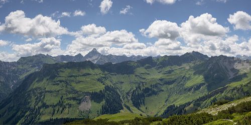 Tussen Nebelhorn en Hochvogel - het groene hart van de Allgäu