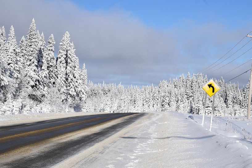 Des arbres givrée après la tempête par Claude Laprise