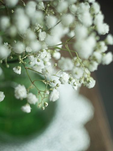 gipskruid in vintage groene vaas