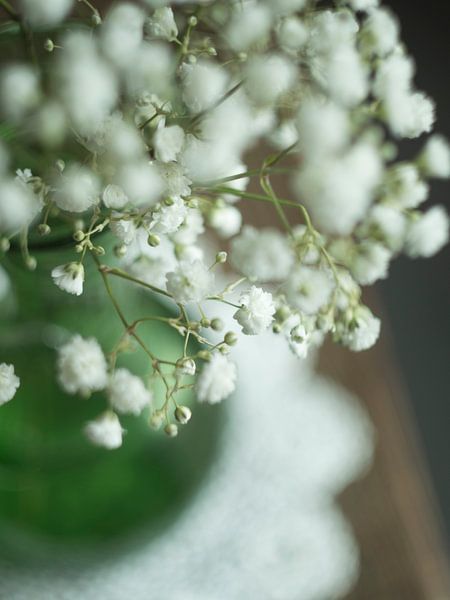 gipskruid in vintage groene vaas van Mariska Vereijken