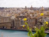 View of Senglea from Valletta by Judith van Wijk thumbnail