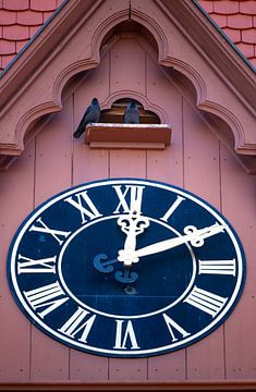 Choucas sur l'horloge de l'église sur Gerwin Schadl