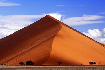 The dune - Namibia van W. Woyke