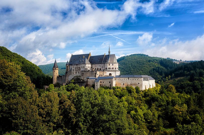 Schloss in Vianden, Luxemburg von Roy Poots