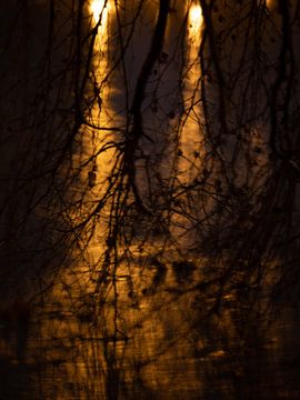 Branches by Christoph Klimt