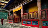 The Lonely Monk