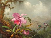 Orchideen und Kolibris, Martin Johnson Heade von Meisterhafte Meister Miniaturansicht