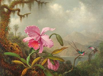 Orchids and Hummingbirds, Martin Johnson Heade