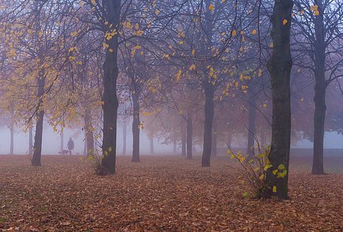 Wandelaar in een mistig bos