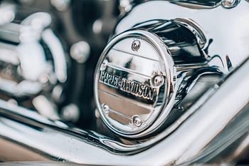 Harley Davidson Engine shield