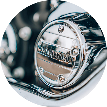 Harley Davidson Engine shield van Gerrit Driessen