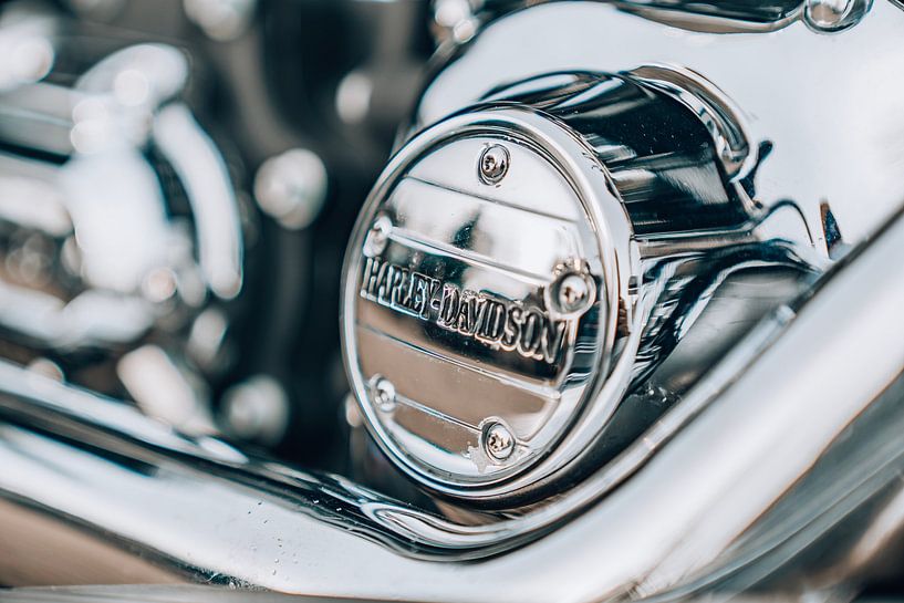 Harley Davidson Engine shield van Gerrit Driessen