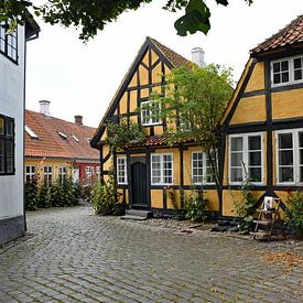 Fåborg, Denemarken van Tjamme Vis
