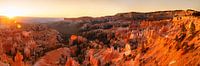Bryce Amphitheater bij zonsopgang, Bryce Canyon Utah, VS van Markus Lange thumbnail