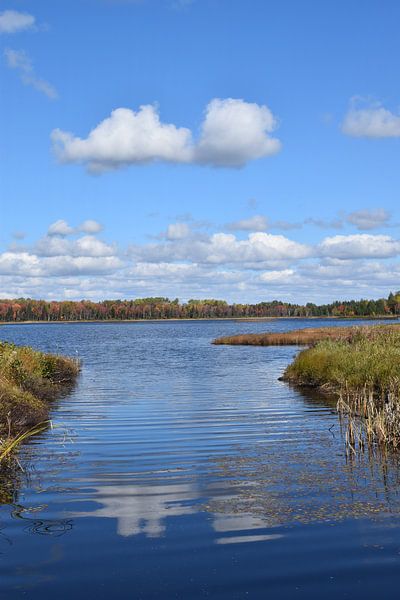 Reflection on the lake in summer by Claude Laprise