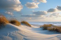 Dunes by the sea