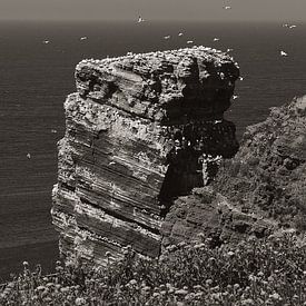 Vergezicht kliffen Helgoland von Photo- ER