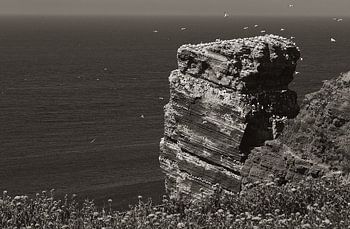 Vergezicht kliffen Helgoland