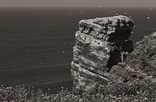 Vergezicht kliffen Helgoland